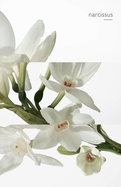 Одеколон eau de narcisse bleu (100ml) HERMÈS, арт. 30570H, фото 5