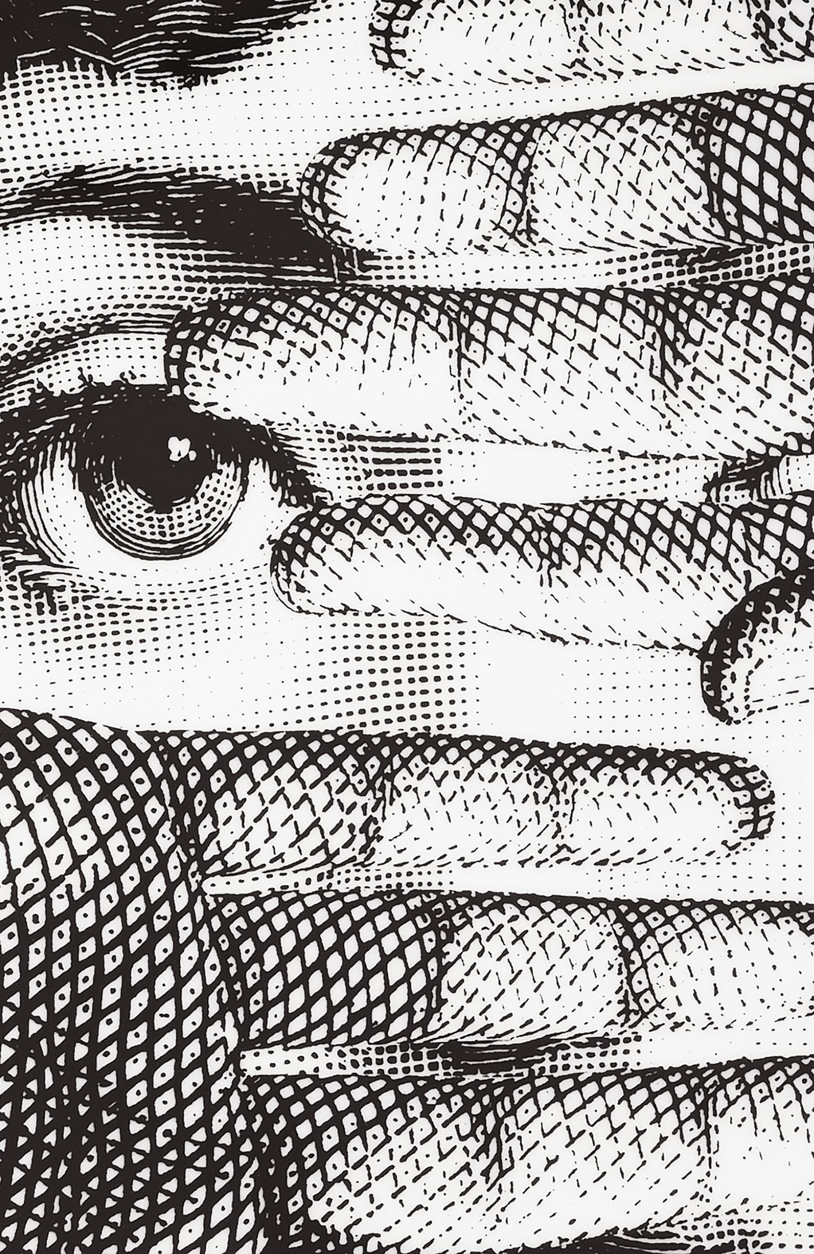 Декоративная тарелка tema e variazioni n.154 FORNASETTI черно-белого цвета по цене 22500 руб., арт. PTV154X, фото 3 Декоративная тарелка tema e variazioni n.154 FORNASETTI, арт. PTV154X, фото 3