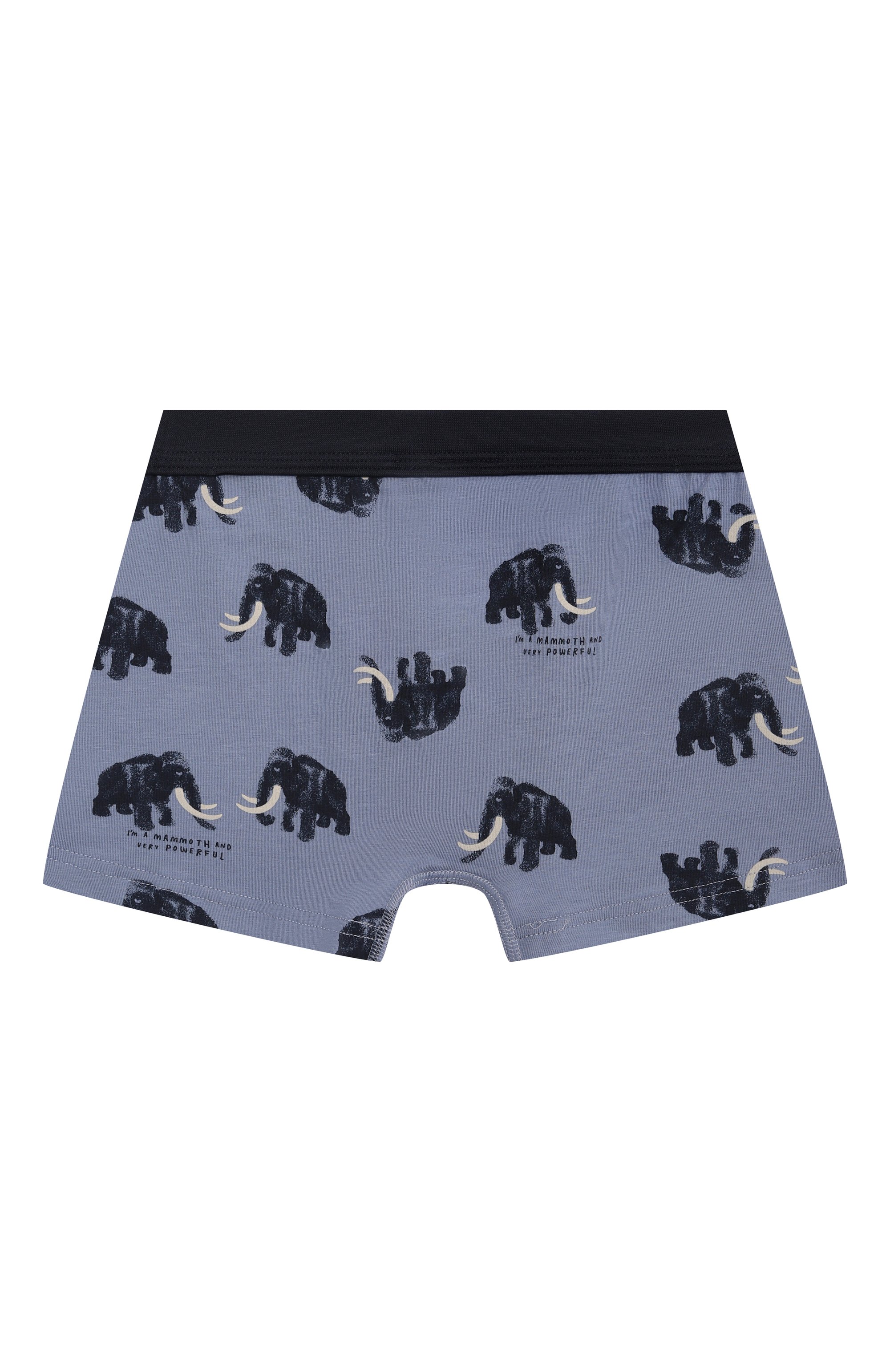 Комплект из двух боксеров SANETTA, арт. 337064, фото 3