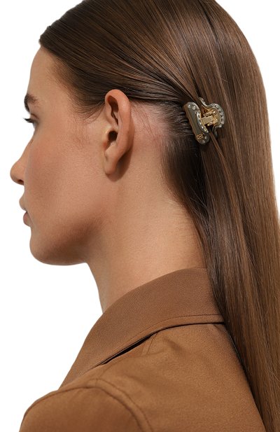 Заколка для волос ALEXANDRE DE PARIS, арт. ICCB-12831-07 G5, фото 2