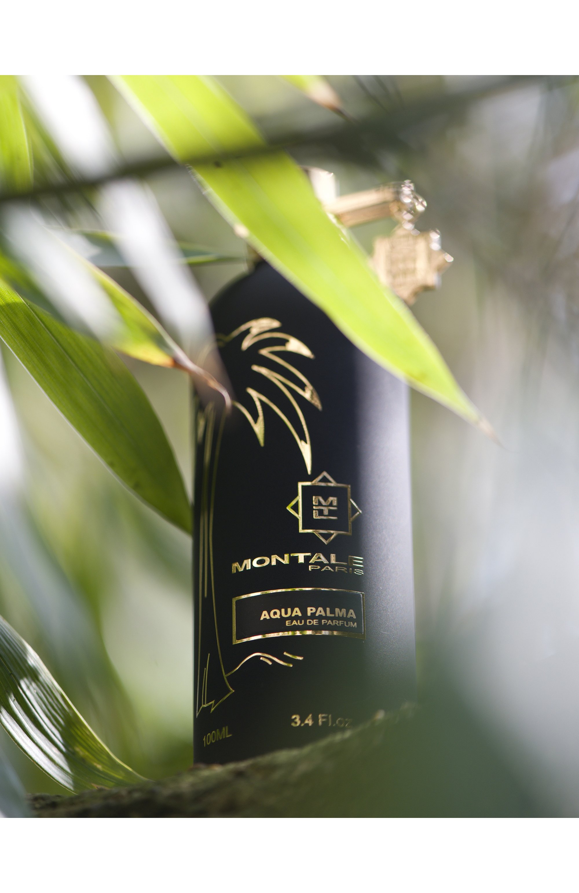 Парфюмерная вода aqua palma (100ml) MONTALE, арт. 3760260458276, фото 2