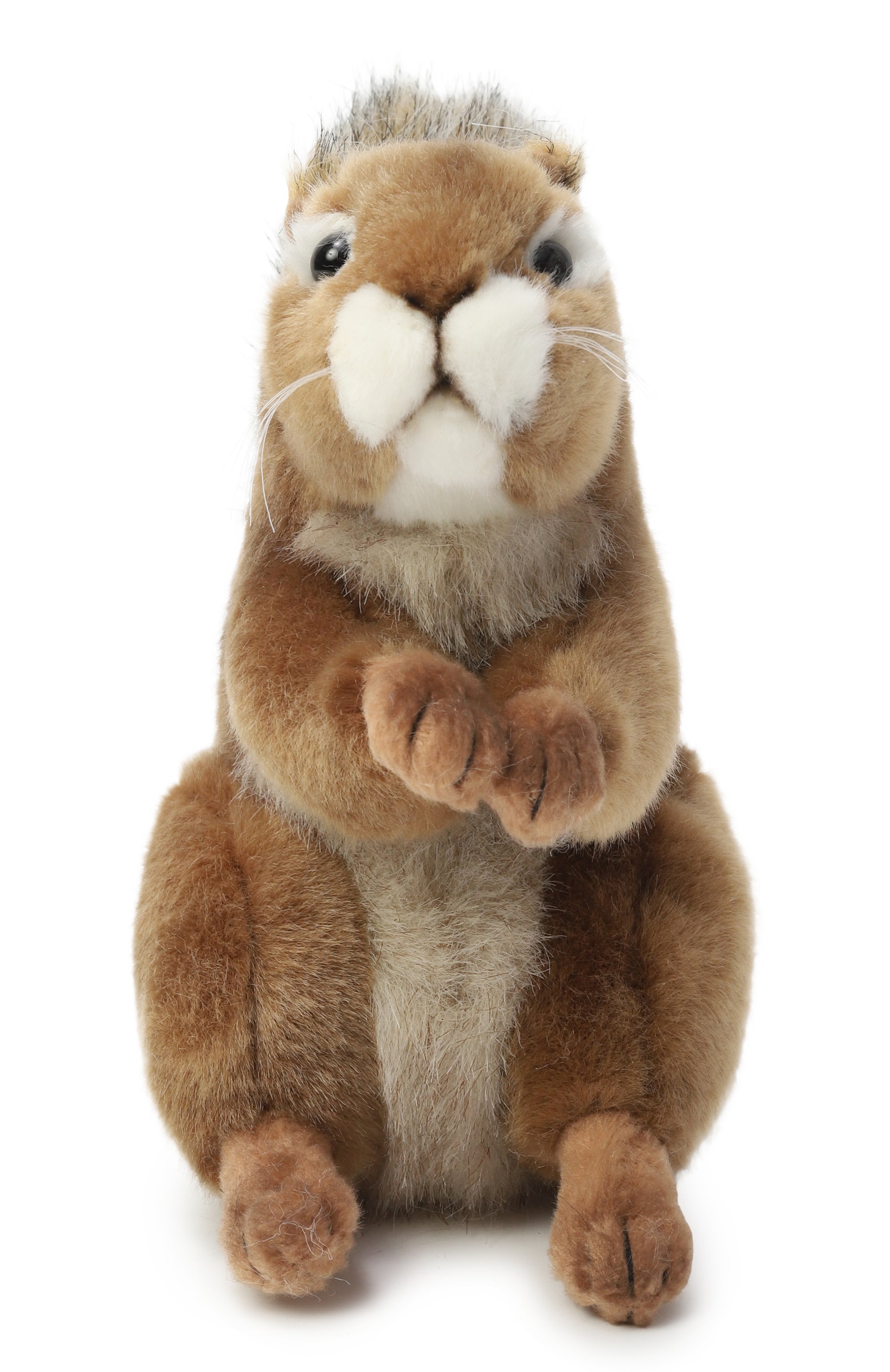 Мягкая игрушка белка HANSA, арт. 3395, фото 2