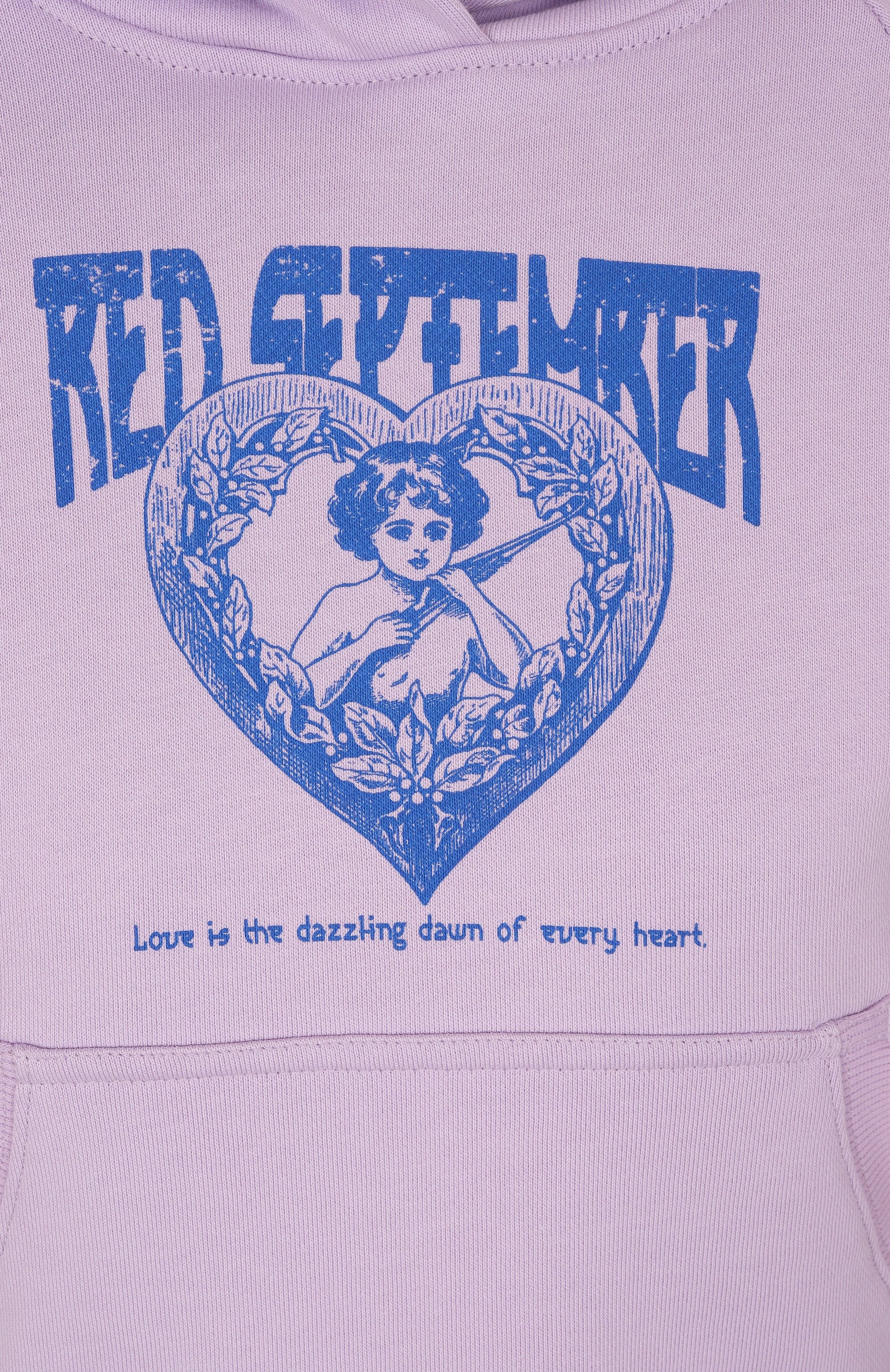 Хлопковое худи RED SEPTEMBER, арт. 225.02.HDY32.53, фото 6