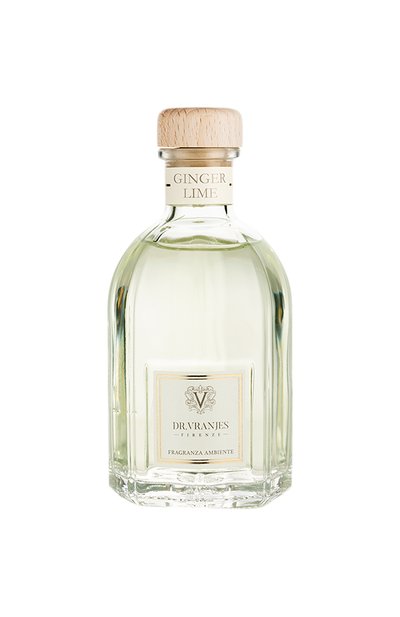 Диффузор ginger lime (500ml) DR. VRANJES FIRENZE, арт. 8033196272717, фото 1