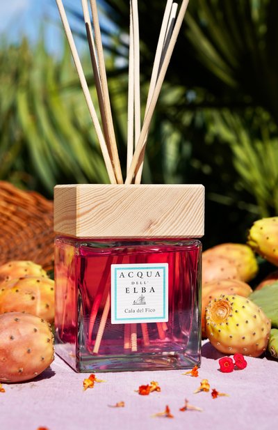 Диффузор cala del fico (200ml) ACQUA DELL ELBA бесцветного цвета по цене 10560 руб., арт. 8032758538360, фото 3 Диффузор cala del fico (200ml) ACQUA DELL ELBA, арт. 8032758538360, фото 3