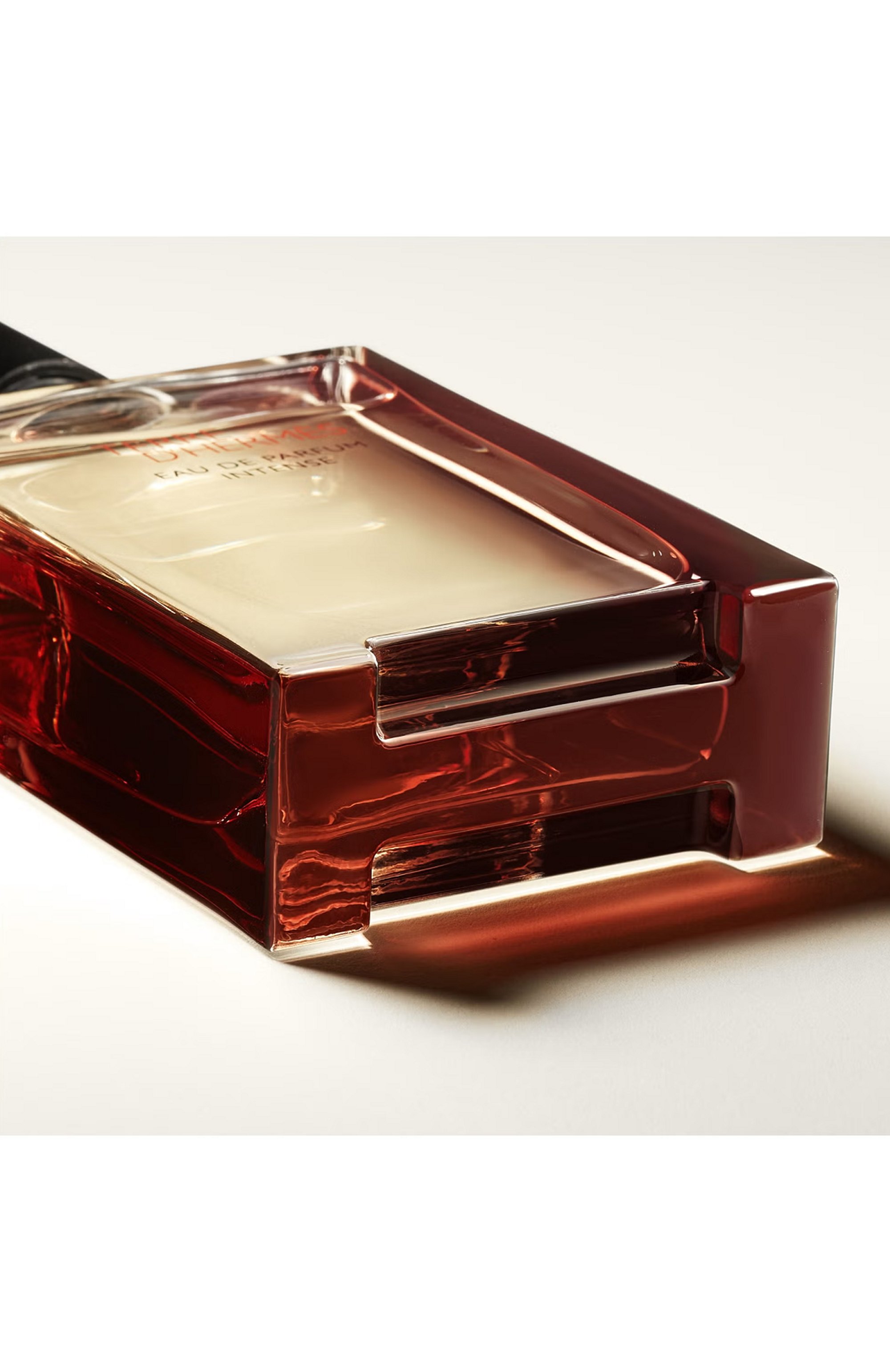 Парфюмерная вода terre d`hermes eau de parfum intense (100ml) HERMÈS, арт. 3346130424116, фото 4