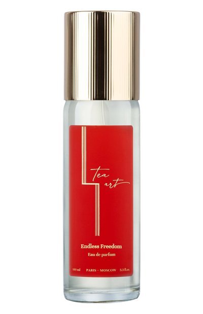 Мужской парфюмерная вода endless freedom (100ml) TEA ART, арт. 4603745598397