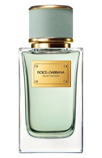 Парфюмерная вода Velvet Infusion (100ml) Dolce & Gabbana