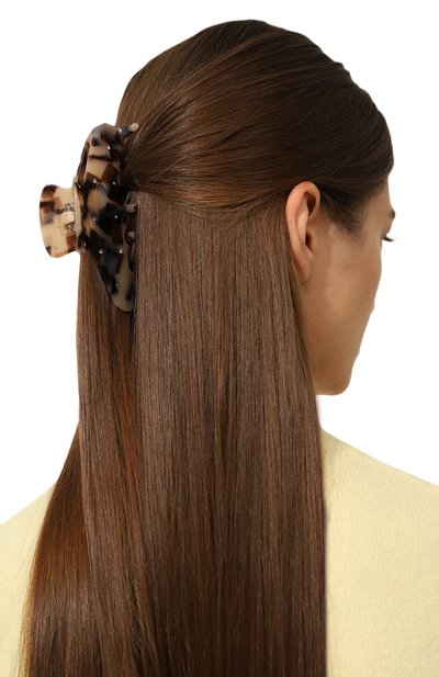 Заколка для волос ALEXANDRE DE PARIS, арт. ACCL-7706-50A23 CCN, фото 2