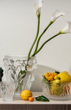 Ваза для фруктов bacchantes LALIQUE прозрачного цвета, арт. 10547900 | Фото 2 (Статус проверки: Проверена категория; Коллекция: Bacchantes; Нос: Не проставлено; Региональные ограничения белый список (Axapta Mercury): Не проставлено; Автоматизация Diginetica: Не назначено; Ограничения доставки: fragile-2)