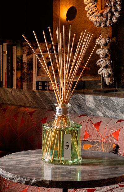 Диффузор salis (100ml) ERBARIO TOSCANO, арт. DA01SI, фото 4