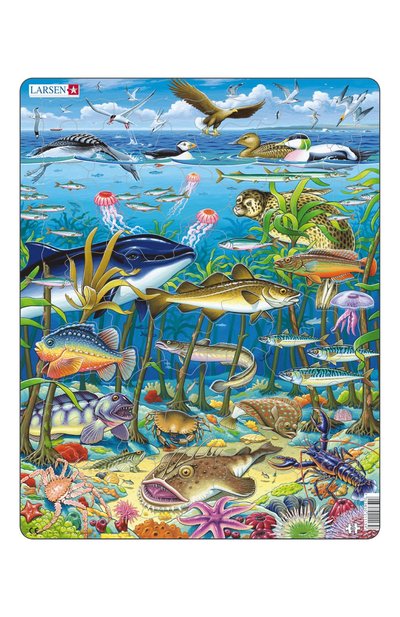 Пазл водоросли LARSEN, арт. FH13, фото 1