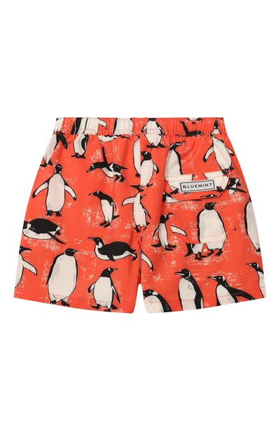 Плавки-шорты BLUEMINT, арт. ARTHUS B0Y STRETCH, фото 2