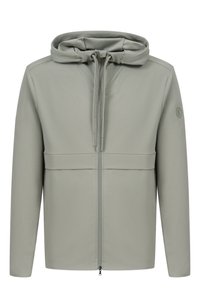 Светло-зеленый