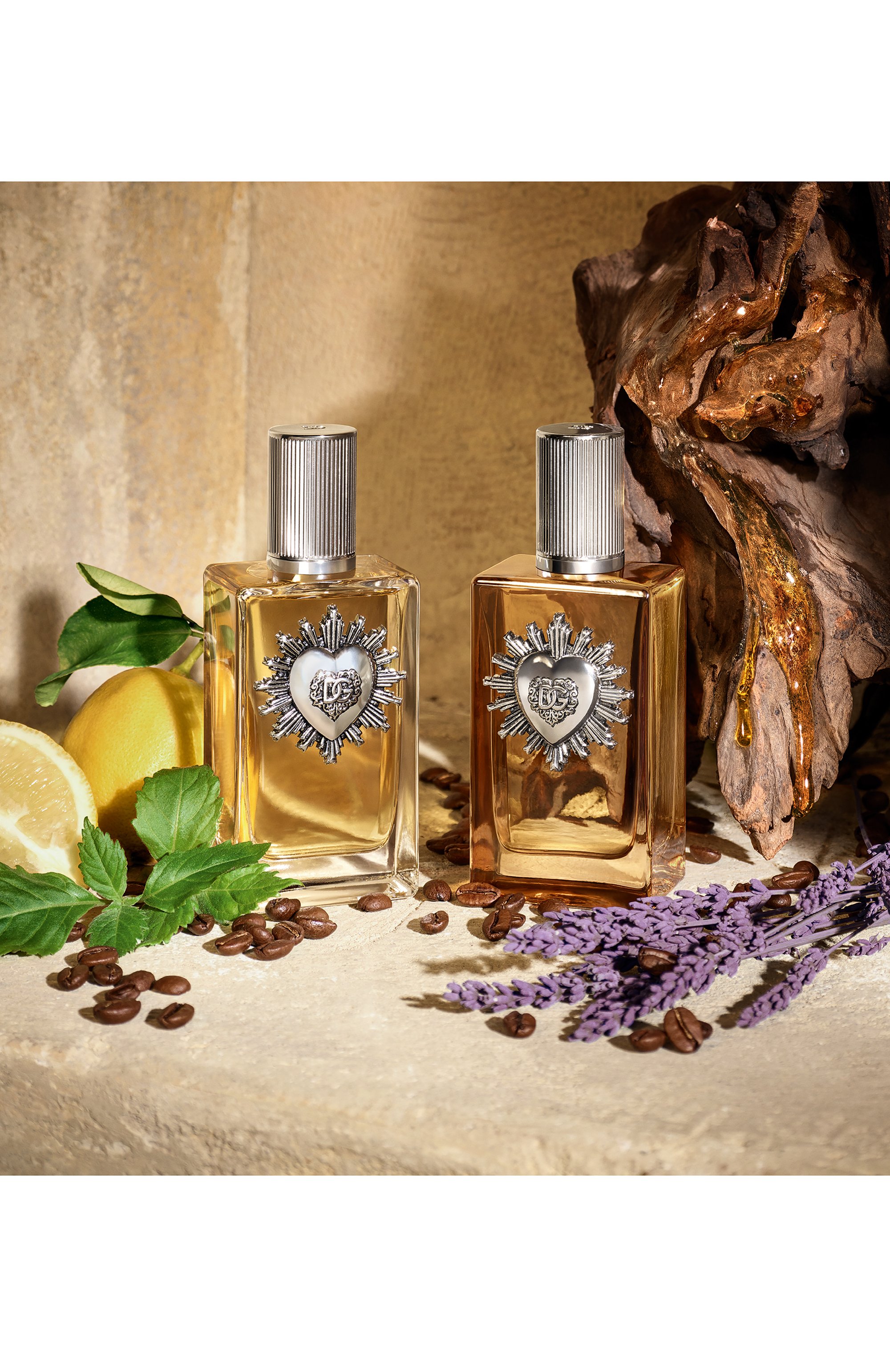 Духи devotion for men (10ml) DOLCE & GABBANA бесцветного цвета по цене 5080 руб., арт. 8054754403152, фото 5 Духи devotion for men (10ml) DOLCE & GABBANA, арт. 8054754403152, фото 5