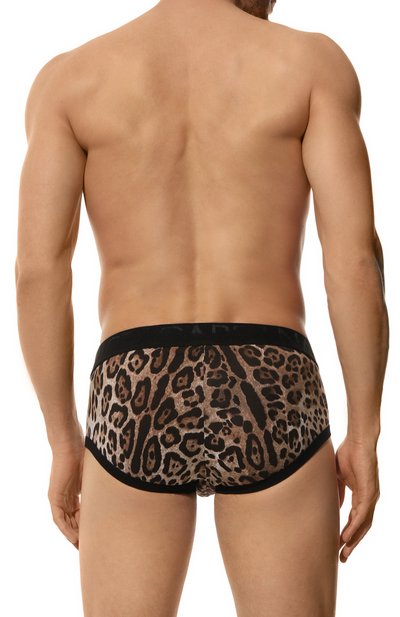 Хлопковые брифы DOLCE & GABBANA, арт. M3D24J/0N003, фото 3