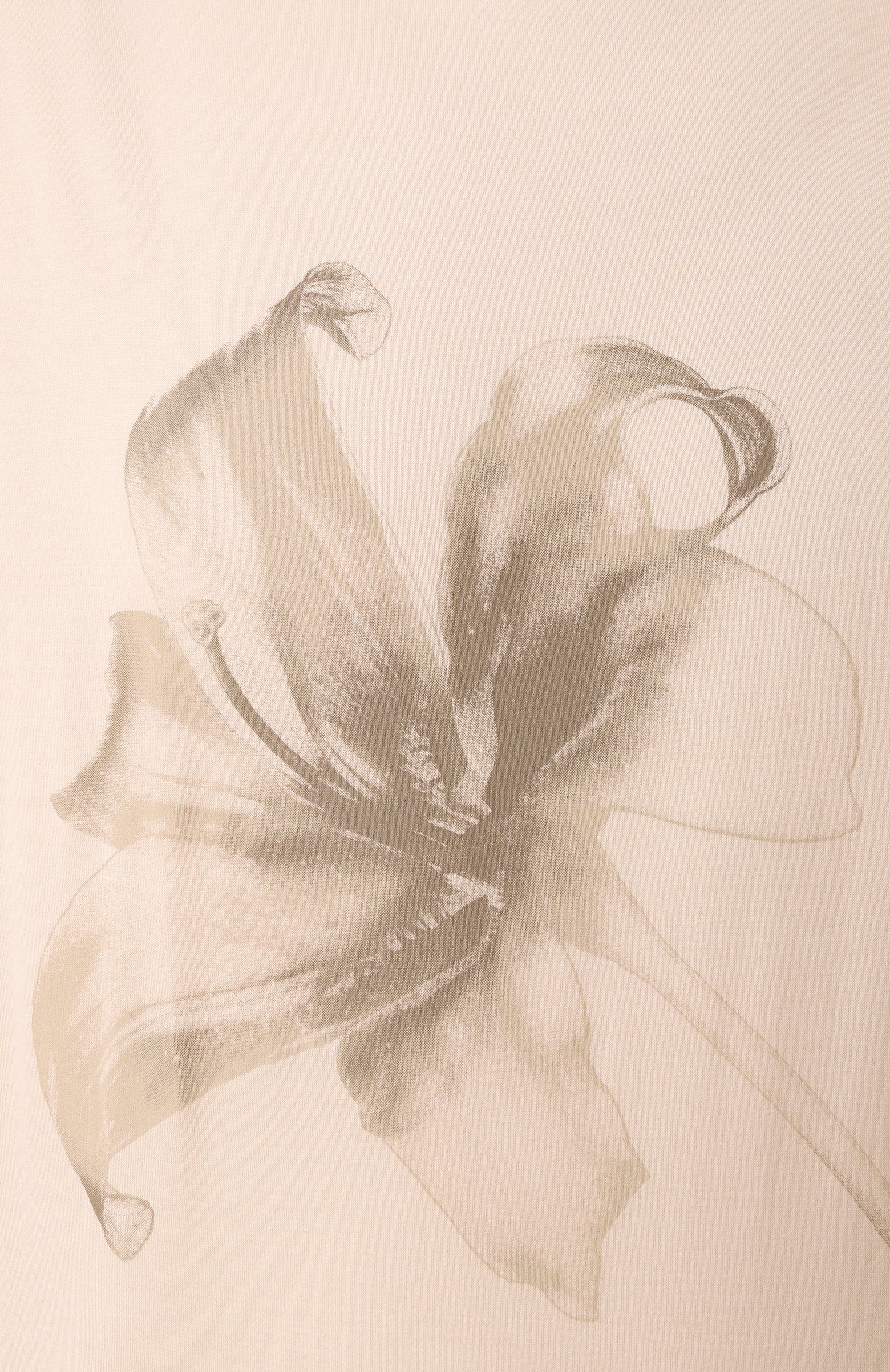 Футболка из лиоцелла и хлопка EMPORIO ARMANI, арт. EM001460/AF10017, фото 6