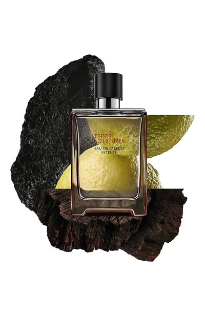 Парфюмерная вода terre d`hermes eau de parfum intense (50ml) HERMÈS, арт. 3346130424109, фото 2