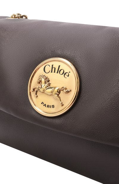 Сумка chloé heritage CHLOÉ, арт. CHC25AS584P75, фото 3