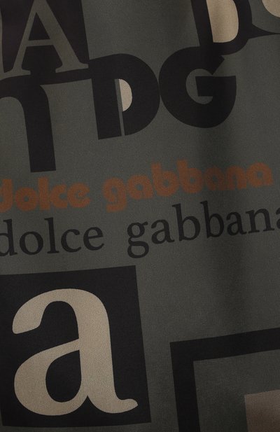 Плавки-шорты DOLCE & GABBANA хаки цвета по цене 23650 руб., арт. L4J826/HSM73/8-14, фото 3 Плавки-шорты DOLCE & GABBANA, арт. L4J826/HSM73/8-14, фото 3