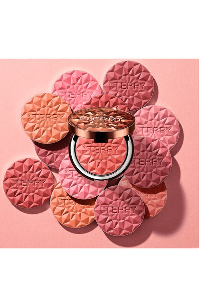 Румяна для лица tea to tan, оттенок 6 spicy song (7g) BY TERRY, арт. 3700076462579, фото 4