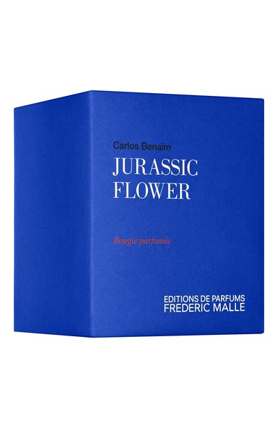 Парфюмерная свеча jurassic flower (220g) FREDERIC MALLE, арт. 3700135022935