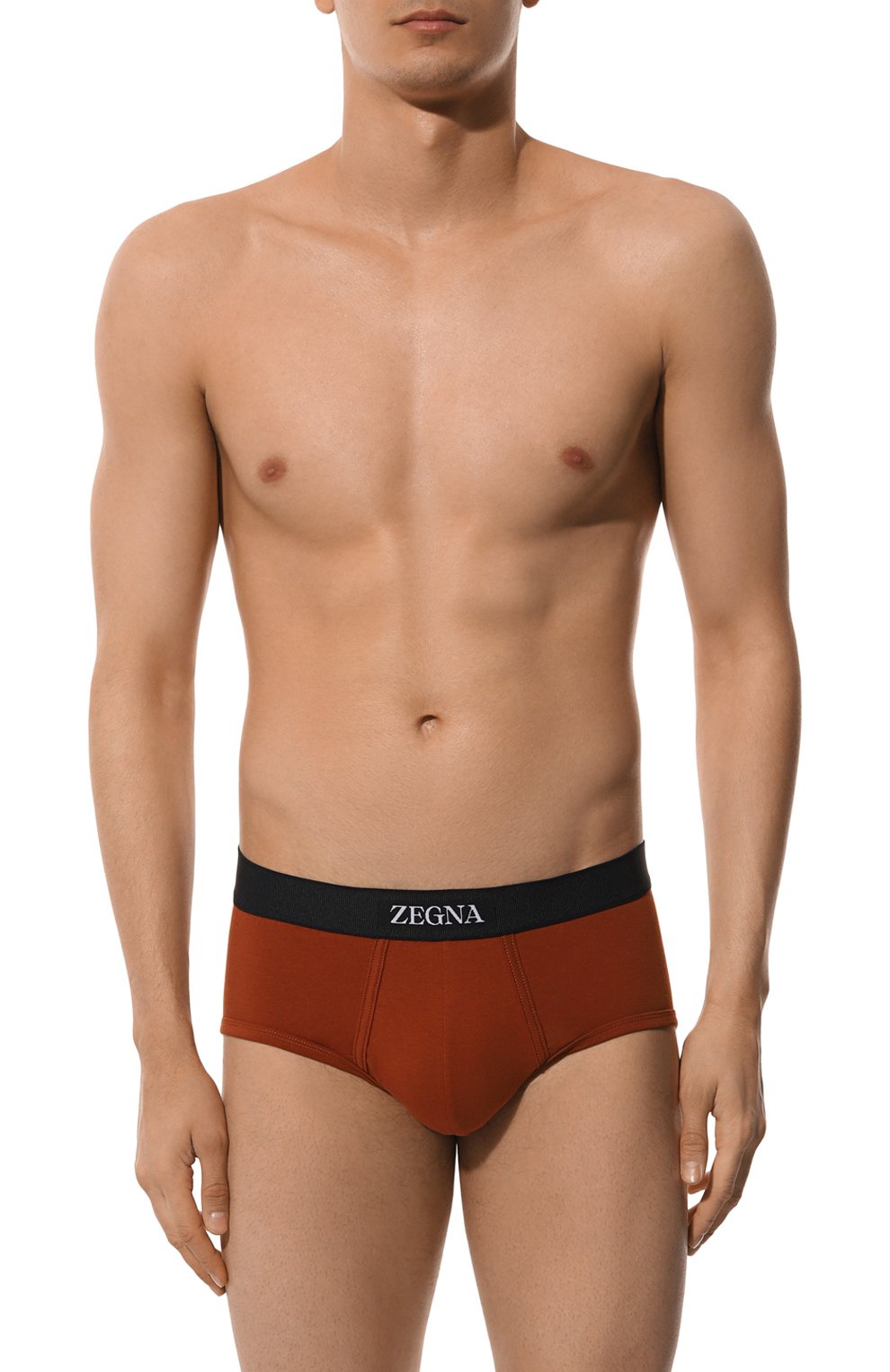 Хлопковые хипсы ZEGNA коричневого цвета по цене 8755 руб., арт. N3L611680, фото 2 Хлопковые хипсы ZEGNA, арт. N3L611680, фото 2