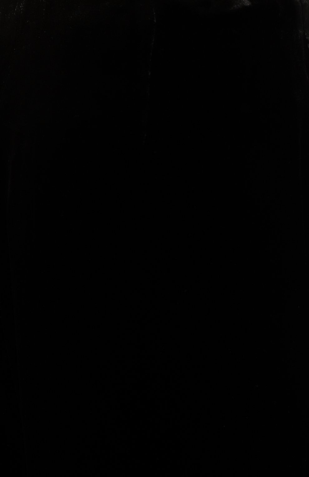 Брюки из вискозы и шелка TOTEME, арт. 241-WRB1044-FB0077, фото 5