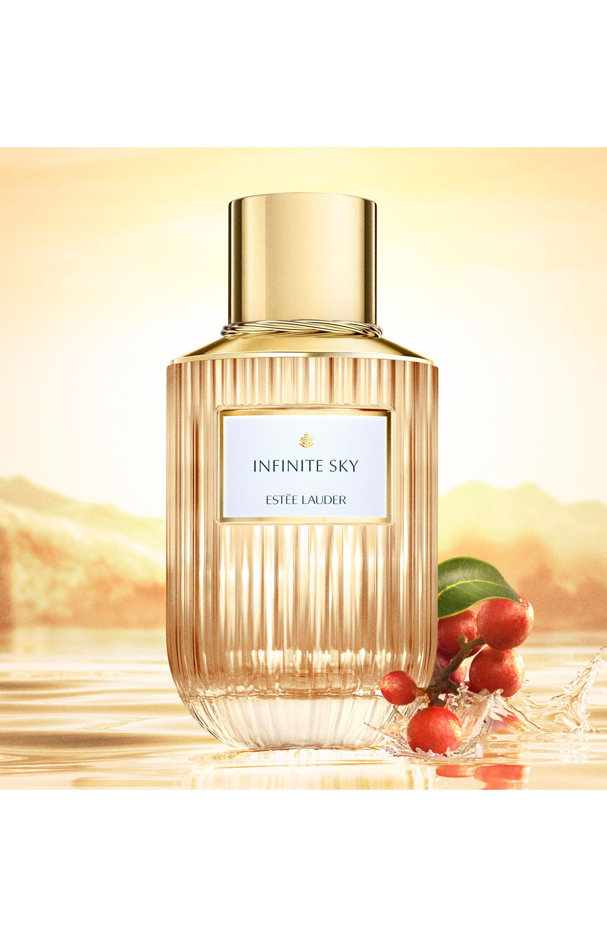 Парфюмерная вода infinite sky (100ml) ESTÉE LAUDER, арт. GT8Y-01, фото 2