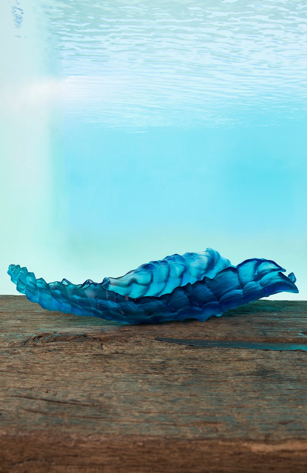 Блюдо на центр стола coral sea DAUM, арт. 05709, фото 2