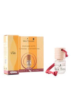 Диффузор для автомобиля "виноградная лоза" (4ml) IDEA TOSCANA бесцветного цвета, арт. 38521 | Фото 1 (Нос: Не проставлено; Региональные ограничения белый список (Axapta Mercury): Не проставлено)