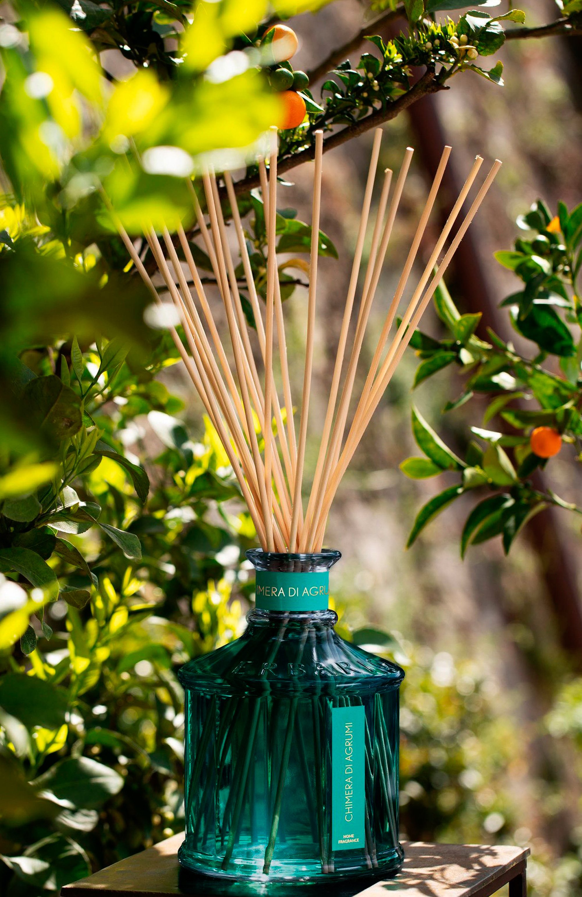 Диффузор chimera di agrumi (250ml) ERBARIO TOSCANO, арт. DA25BZ, фото 4