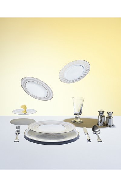 Набор из 2-х суповых тарелок arcadia gold&platinum BACCARAT, арт. 2 817 379, фото 4