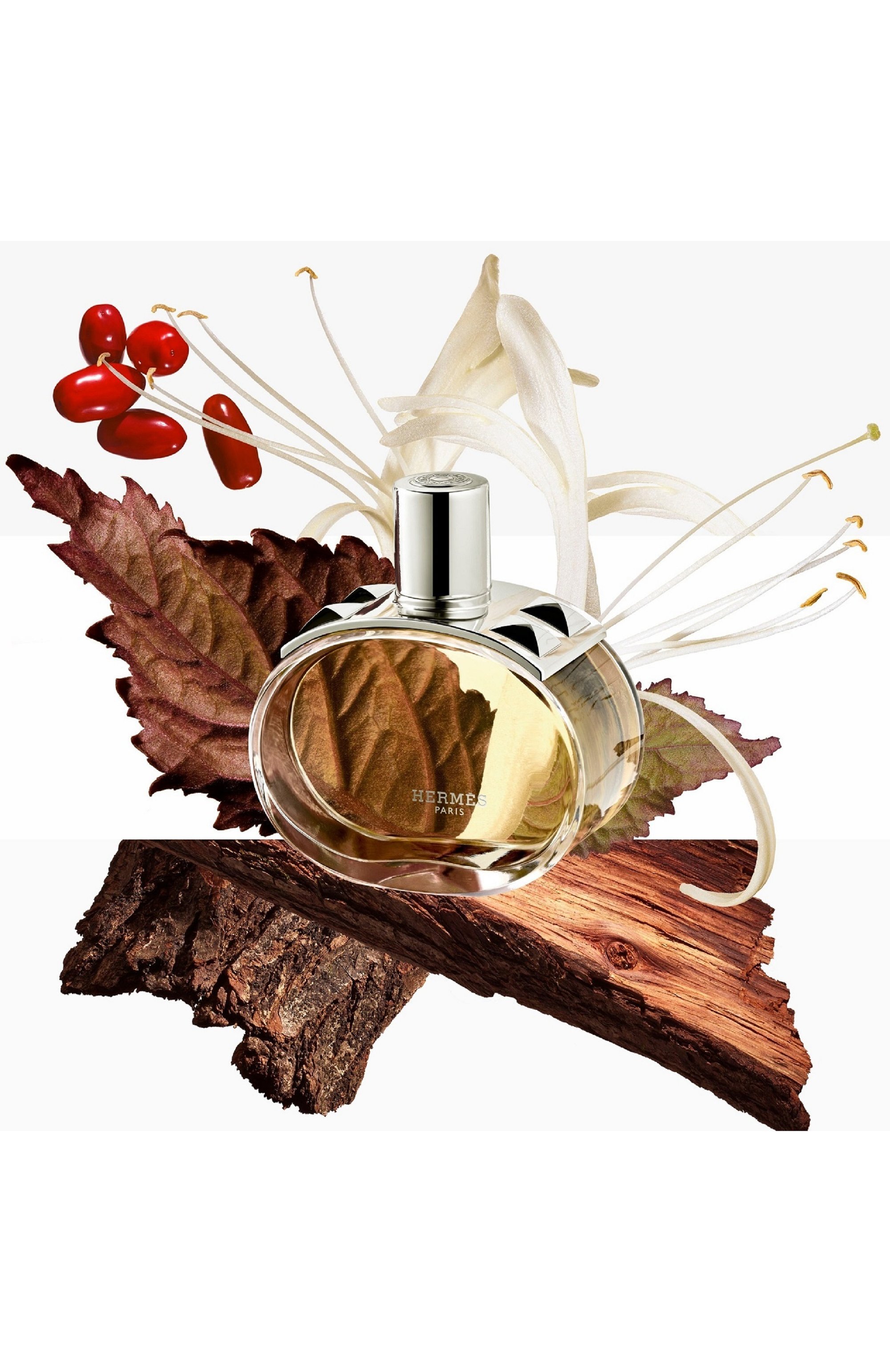 Парфюмерная вода hermes barenia (100ml) HERMÈS, арт. 3346130421337, фото 2