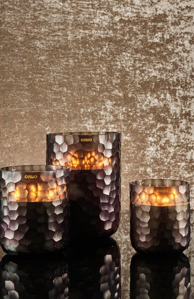 Ароматическая свеча ginger fig eternal l  ONNO, арт. 5412280162036, фото 3