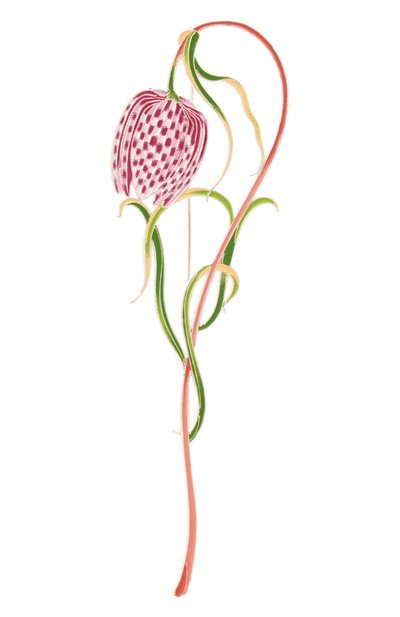 Женская брошь РУССКИЕ САМОЦВЕТЫ, арт. 41502