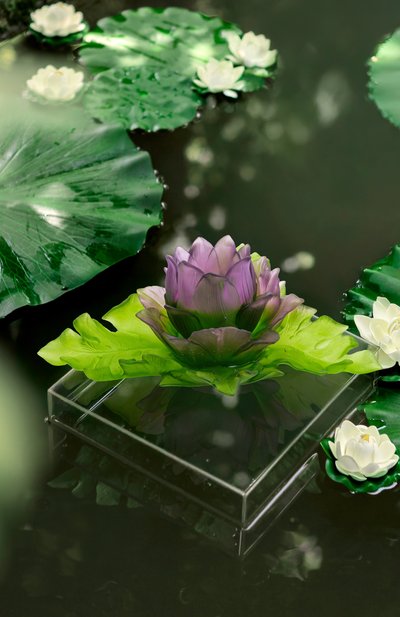 Блюдо на центр стола jardin de lotus DAUM, арт. 05870, фото 3