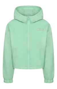 Светло-зеленый