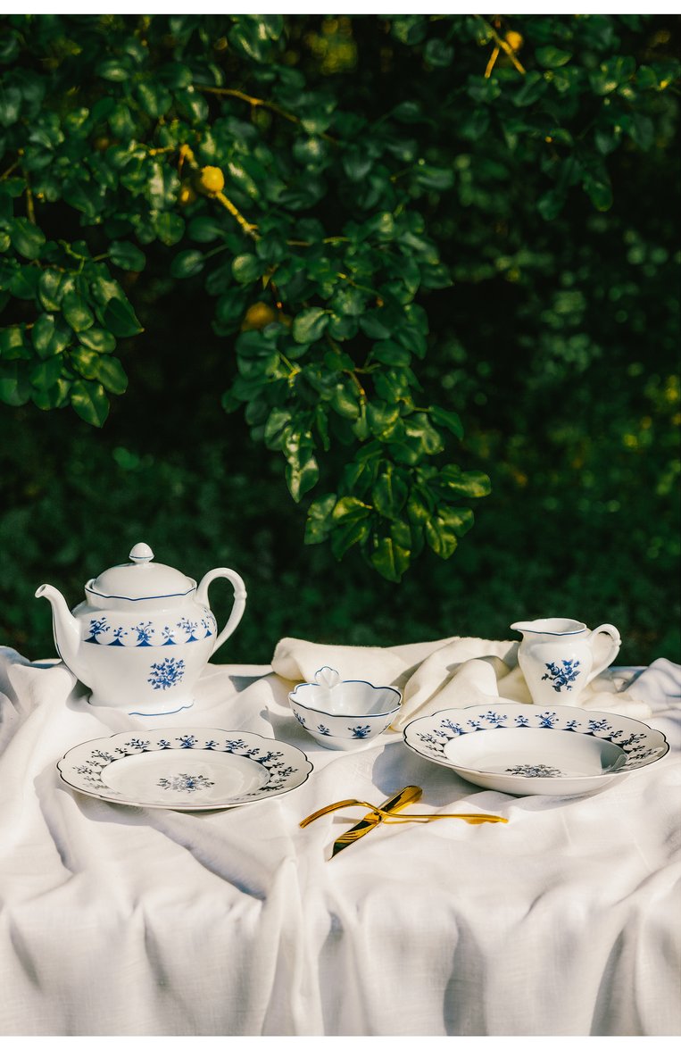 Тарелка суповая chateaubriand BERNARDAUD синего цвета, арт. 2595/23 | Фото 2 (Нос: Не проставлено; Региональные ограничения белый список (Axapta Mercury): Не проставлено; Коллекция: Chateaubriand; Интерьер Кросс-КТ: Обеденная посуда; Ограничения доставки: fragile-2)