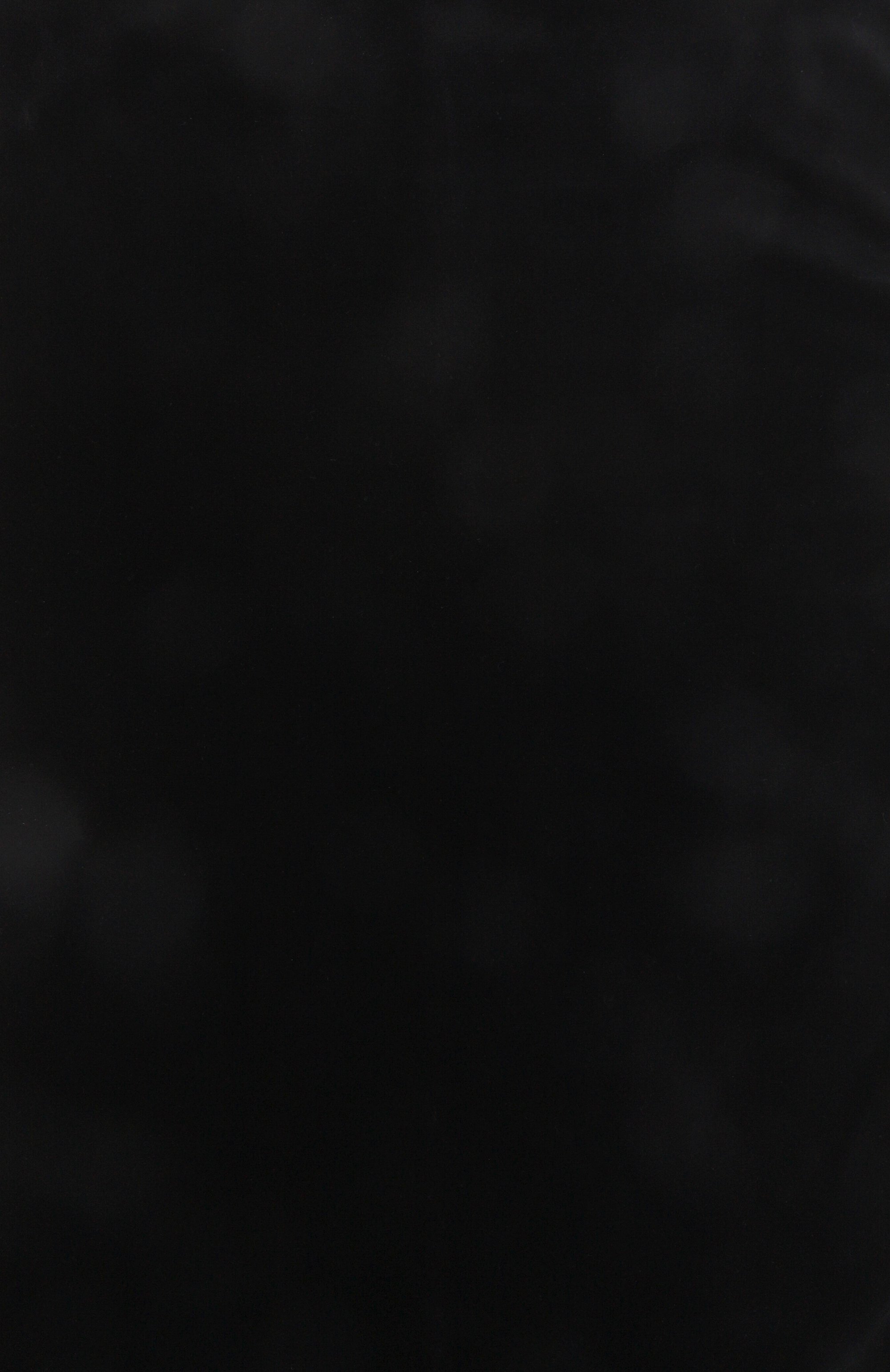 Бархатная шаль MAX MARA STUDIO, арт. SMIRNE_001, фото 4