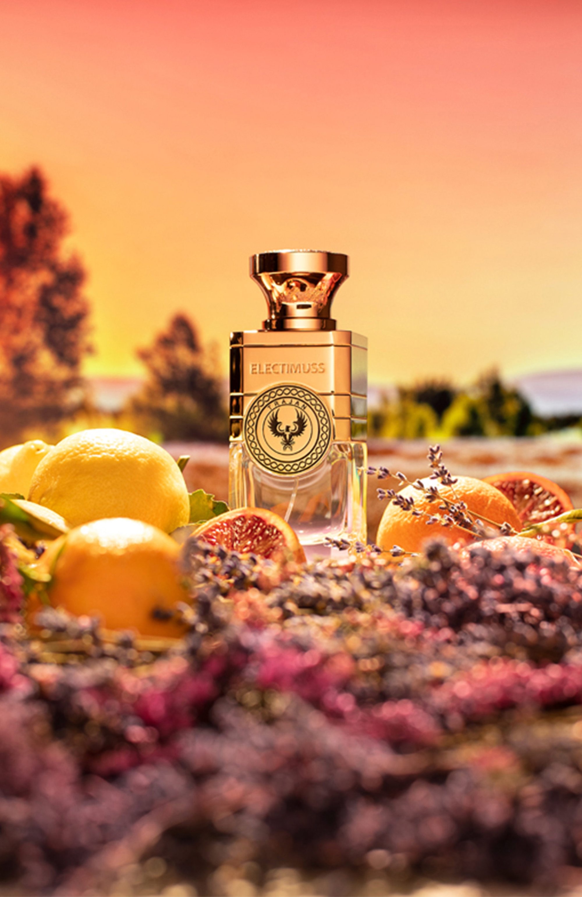 Духи trajan (100ml) ELECTIMUSS LONDON, арт. 5060485381914, фото 3