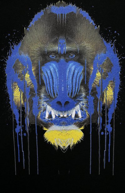 Хлопковый свитшот MARCELO BURLON KIDS OF MILAN черного цвета по цене 16600 руб., арт. 21E/B/MB/2002/0020/2-6Y, фото 3 Хлопковый свитшот MARCELO BURLON KIDS OF MILAN, арт. 21E/B/MB/2002/0020/2-6Y, фото 3