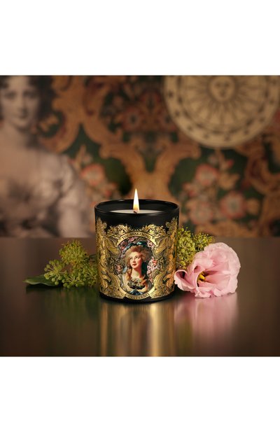 Ароматизированная свеча the awakening (240g) CORETERNO, арт. CORAPH04, фото 3