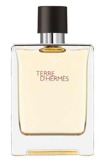 Туалетная вода terre d'hermès (100ml) HERMÈS, арт. 20872H, фото 1