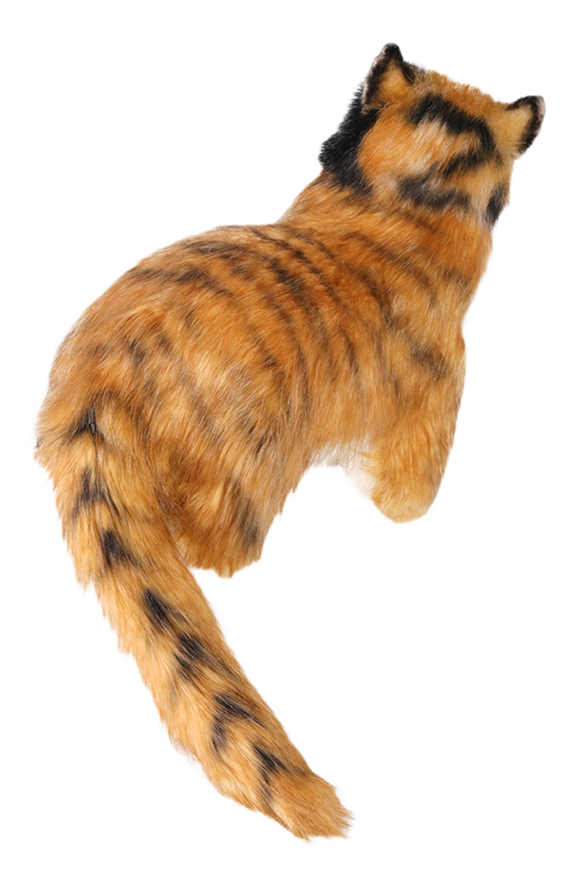 Мягкая игрушка кошка бетти аламо HANSA, арт. 6966, фото 2