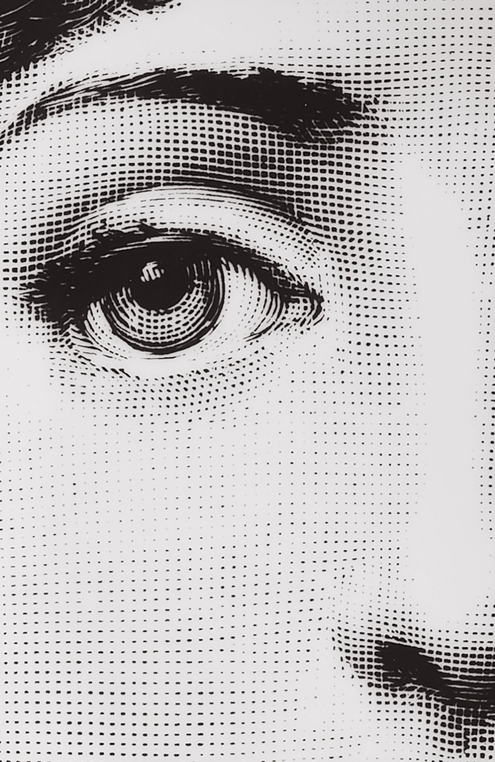 Декоративная тарелка tema e variazioni n.137 FORNASETTI, арт. PTV137X, фото 3