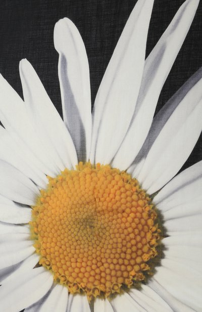 Палантин из кашемира и шелка GIVENCHY, арт. GW1414/SR205, фото 5