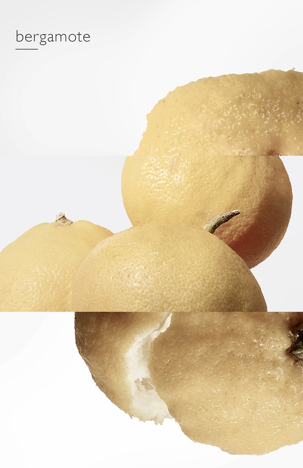 Туалетная вода спрей le jardin de monsieur li (100ml) HERMÈS, арт. 32118H, фото 7