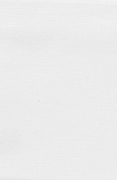 Хлопковый платок STEFANO RICCI, арт. FZMT/L1600, фото 3