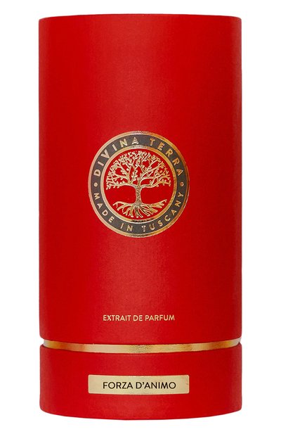 Духи forza d'animo (100ml) DIVINA TERRA, арт. 8016741172625, фото 2